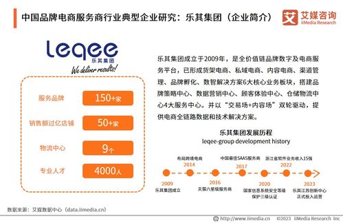 2023年中國品牌電商服務(wù)商行業(yè)研究報告