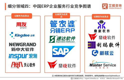 2021上半年中國企業服務專題研究報告 信息咨詢服務發展分析